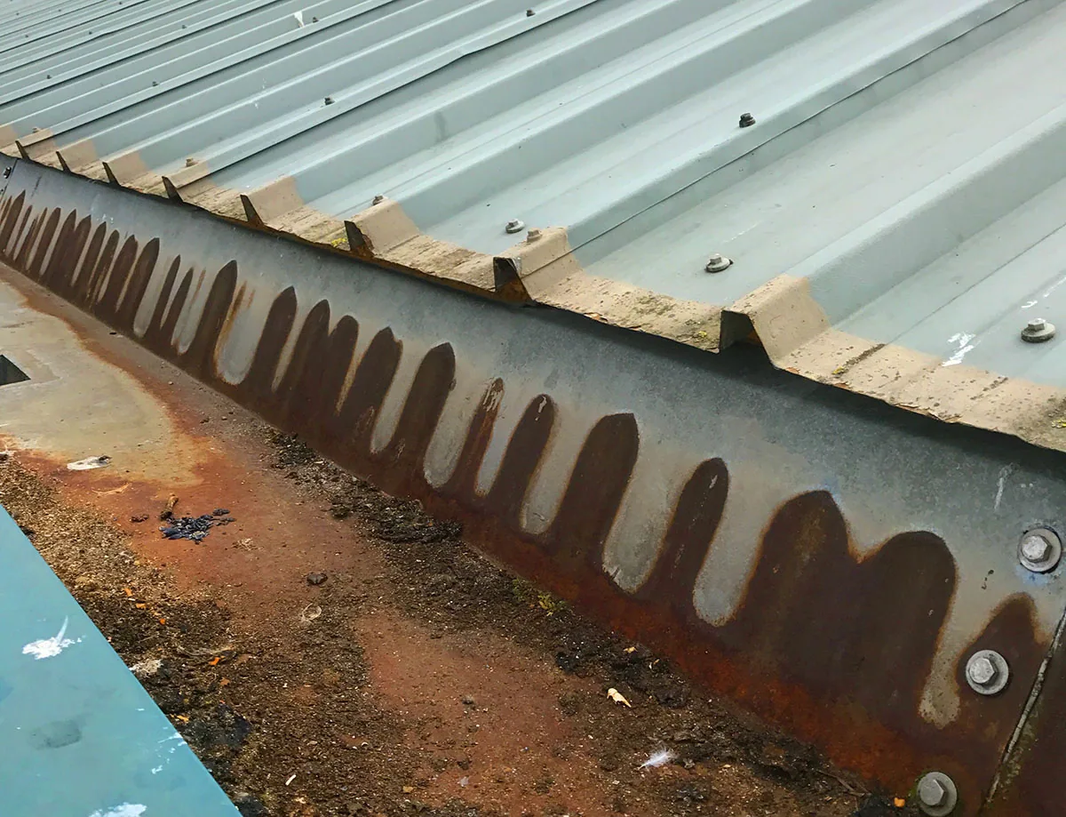 Commercial Roof Due Diligence Surveys in Bellevue, WA