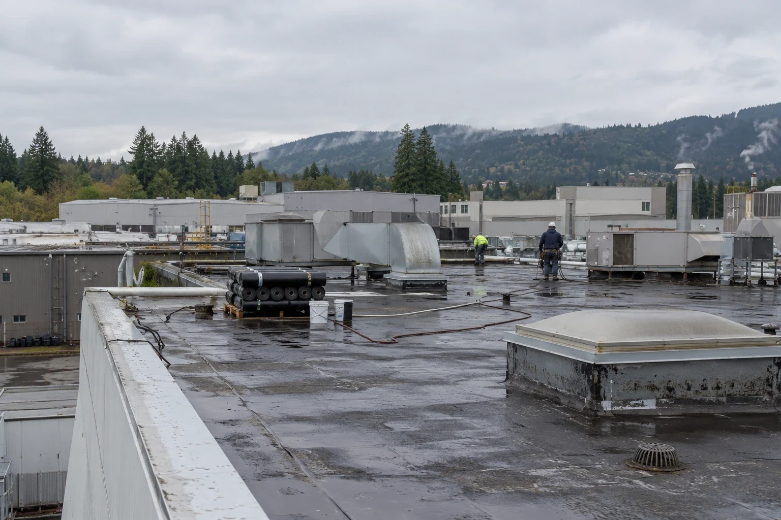 Commercial Roofing for Manufacturers in Bellevue, WA