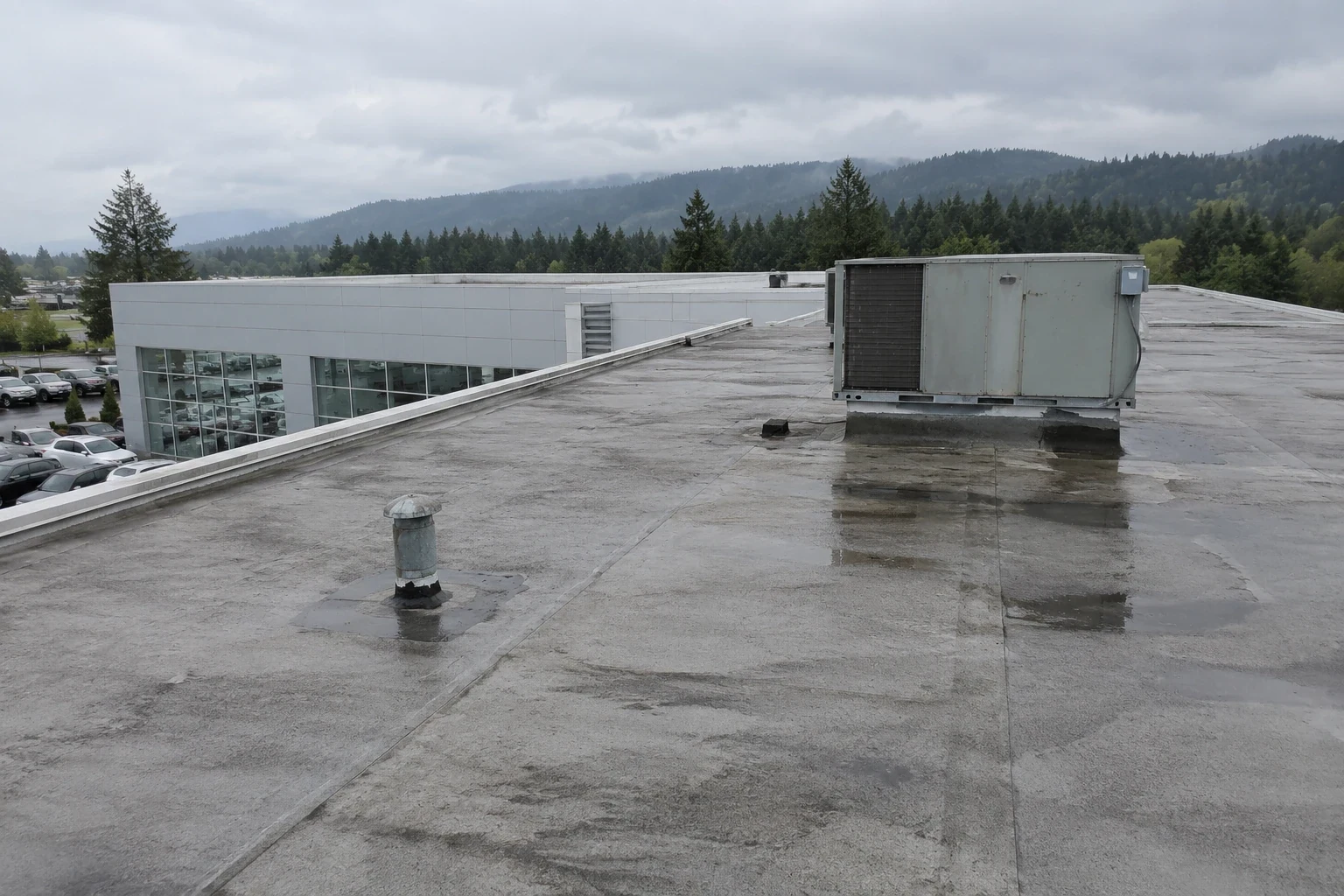 Auto Dealership Roofing in Bellevue, WA