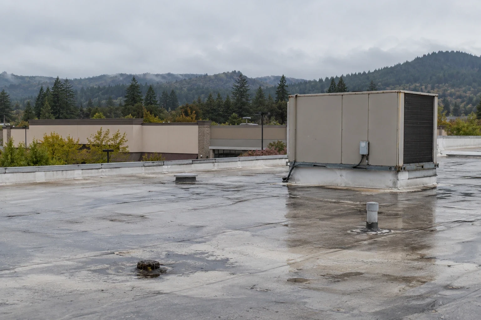 Grocery Store Roofing in Bellevue, WA
