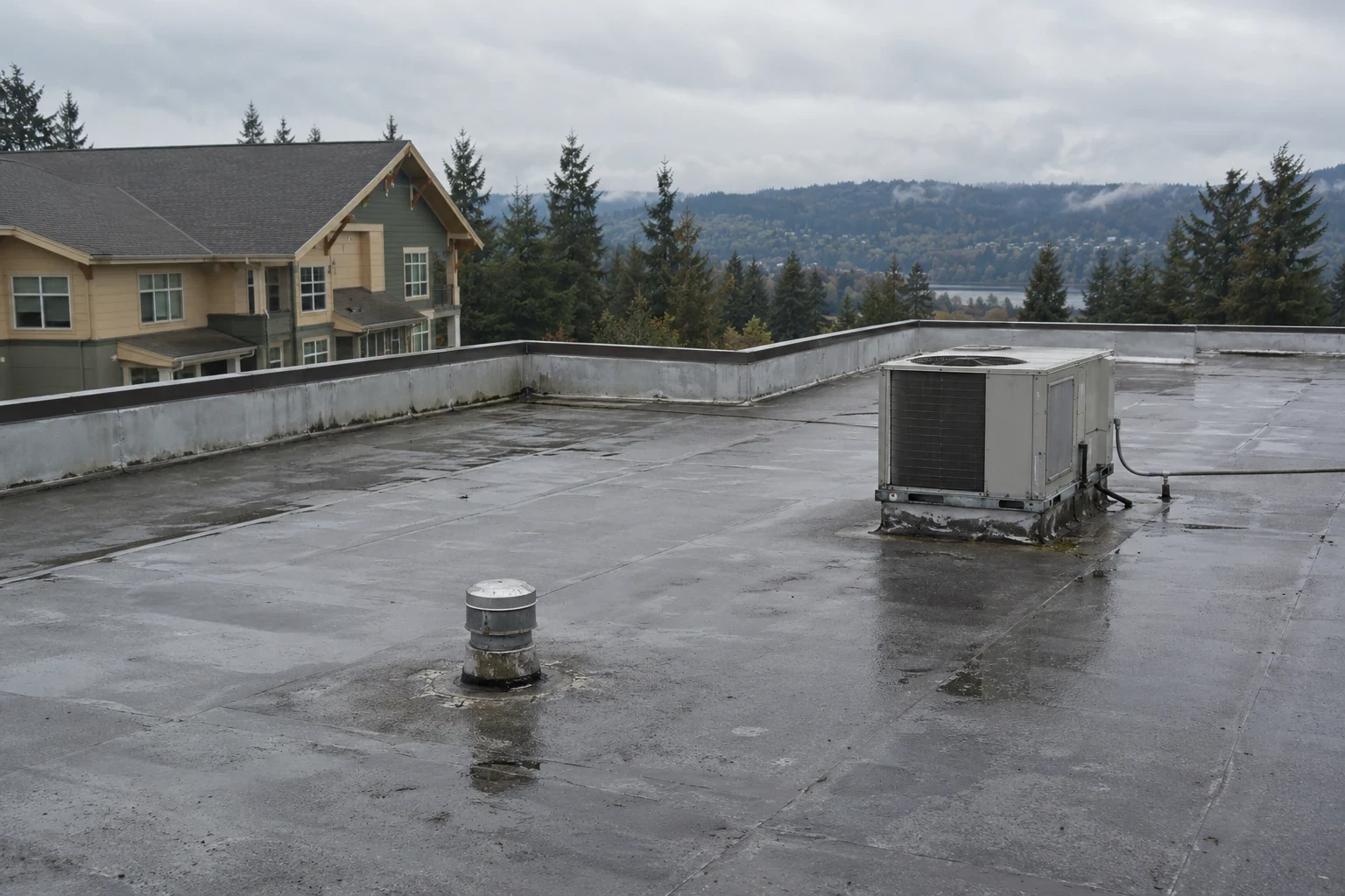 Senior Living Roofing in Bellevue, WA