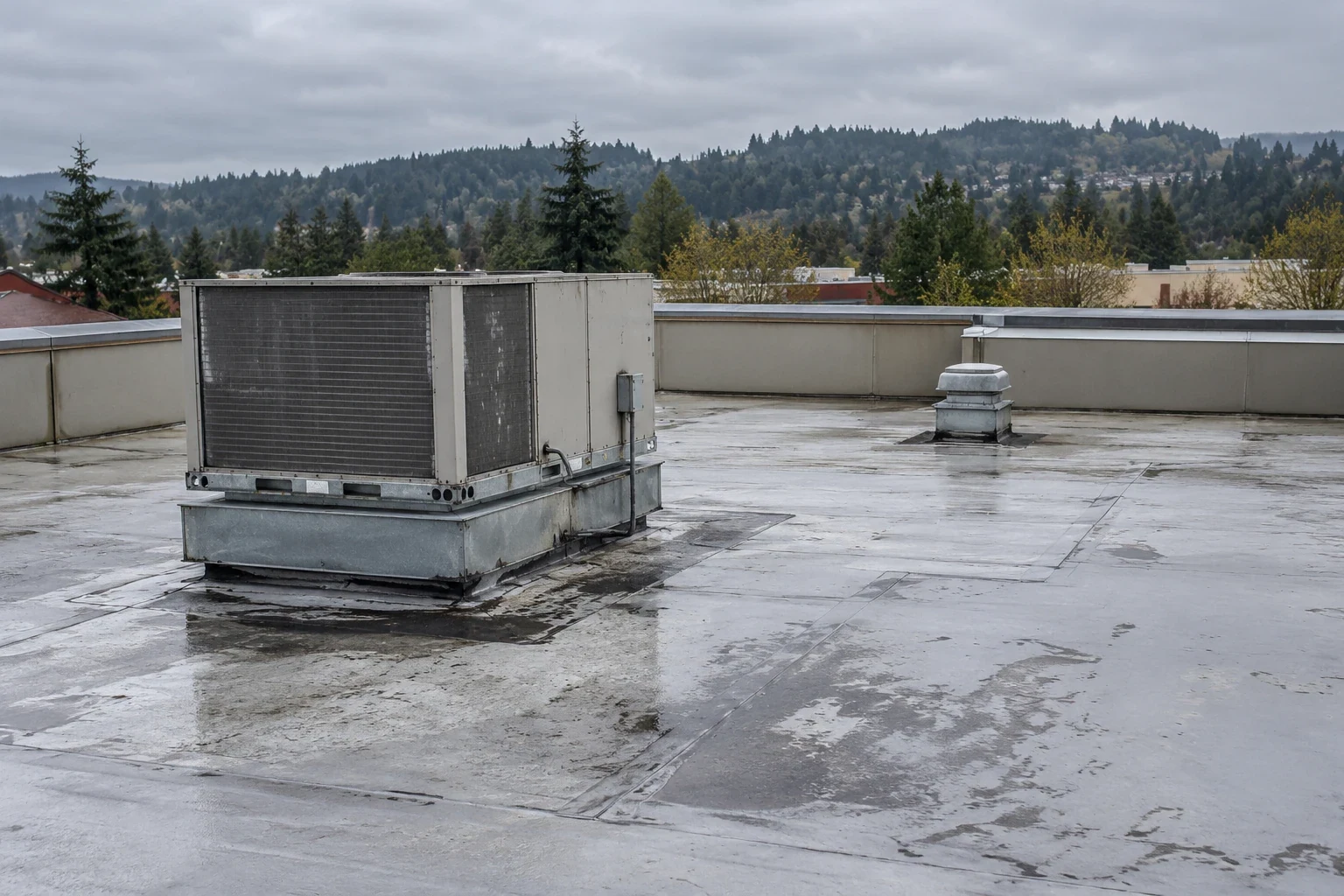 Shopping Center Roofing in Bellevue, WA