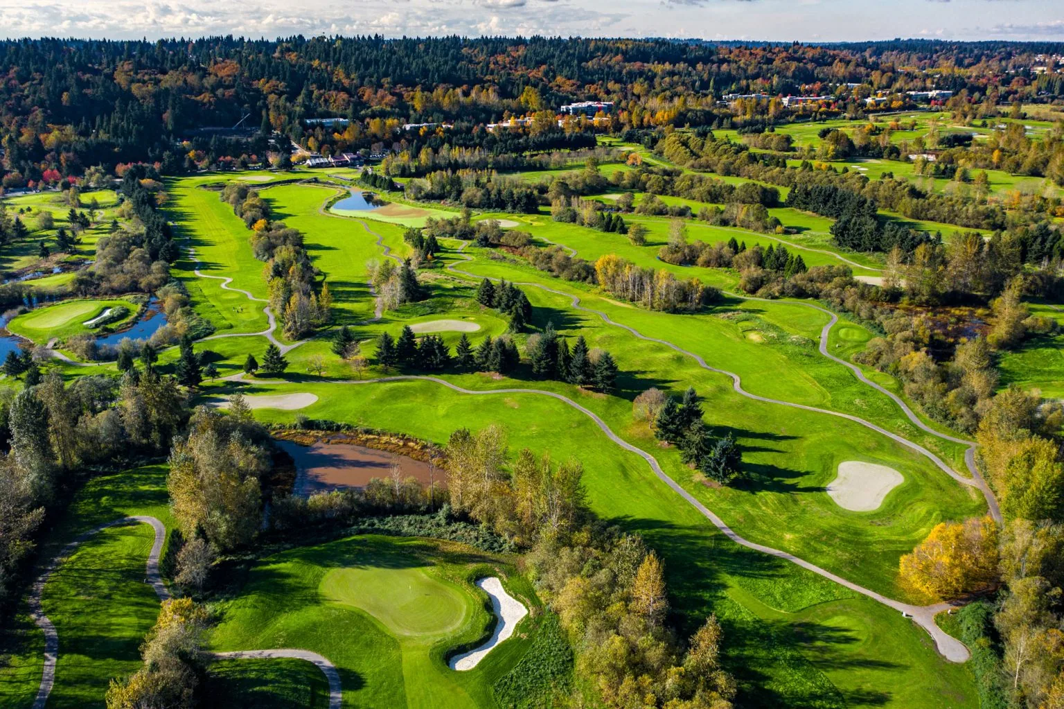 Renton South District in Bellevue, WA